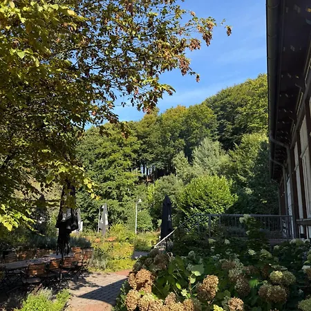 Waldhotel Hotel *